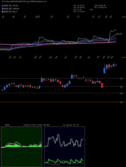 Munafa Darden Restaurants, Inc. (DRI) stock tips, volume analysis, indicator analysis [intraday, positional] for today and tomorrow