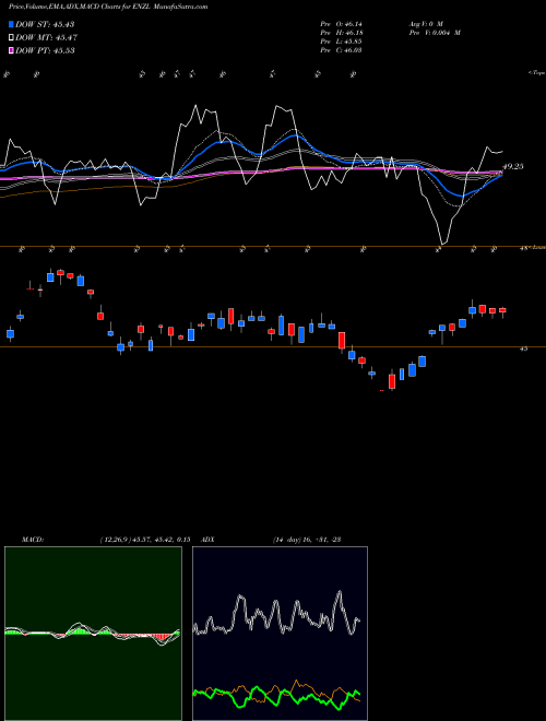 MACD charts various settings share ENZL IShares MSCI New Zealand ETF USA Stock exchange 