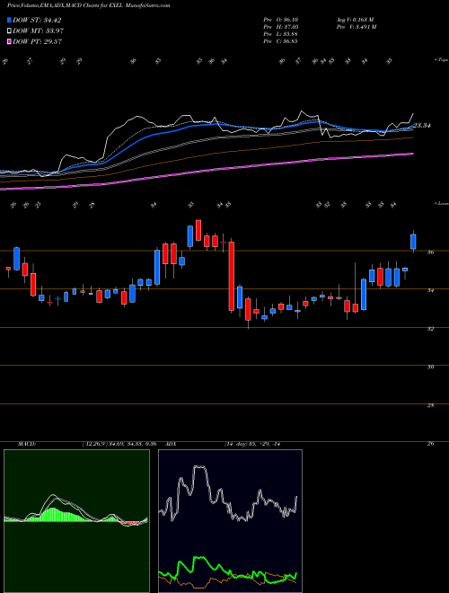 Munafa Exelixis, Inc. (EXEL) stock tips, volume analysis, indicator analysis [intraday, positional] for today and tomorrow