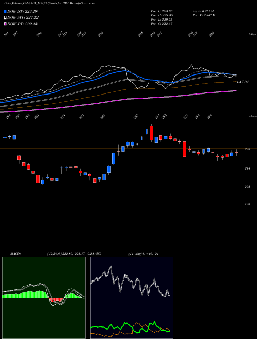 Munafa International Business Machines Corporation (IBM) stock tips, volume analysis, indicator analysis [intraday, positional] for today and tomorrow