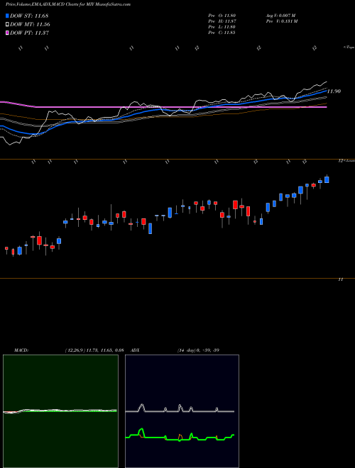 Munafa Blackrock MuniYield Michigan Quality Fund, Inc. (MIY) stock tips, volume analysis, indicator analysis [intraday, positional] for today and tomorrow