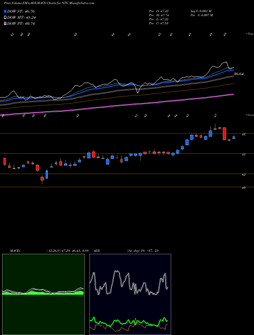 Munafa Tortoise Midstream Energy Fund, Inc. (NTG) stock tips, volume analysis, indicator analysis [intraday, positional] for today and tomorrow