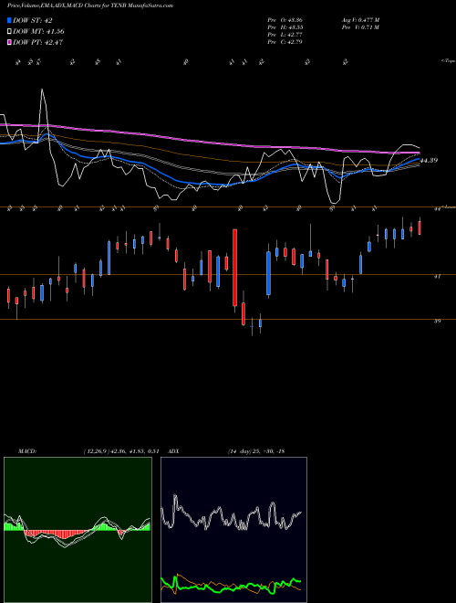 Munafa Tenable Holdings, Inc. (TENB) stock tips, volume analysis, indicator analysis [intraday, positional] for today and tomorrow