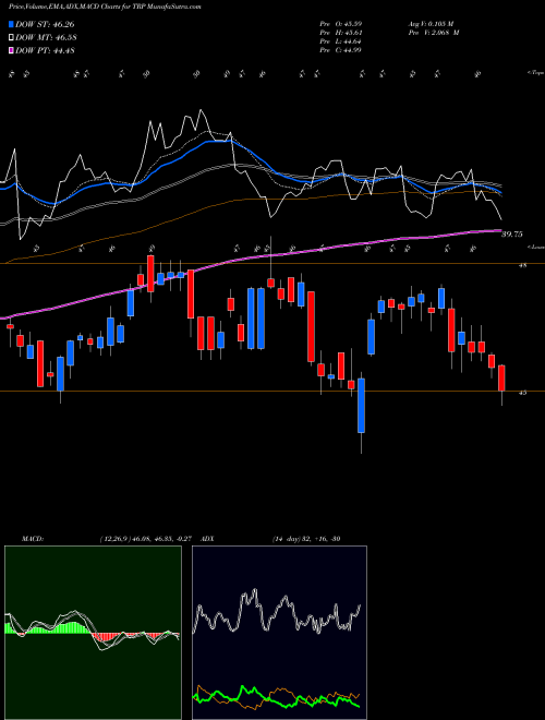 MACD charts various settings share TRP TransCanada Corporation USA Stock exchange 