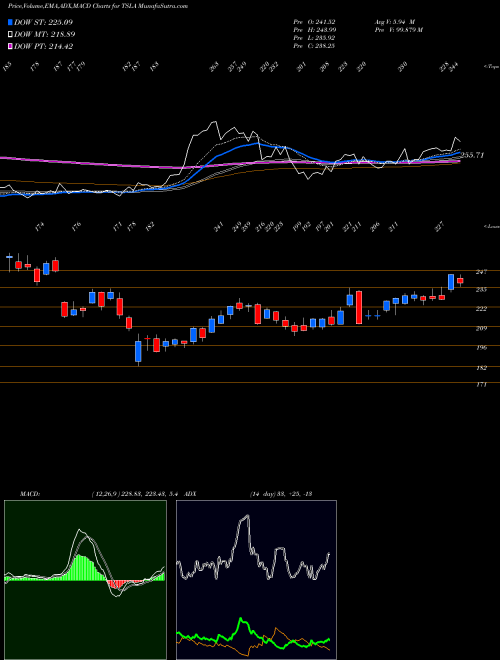 Munafa Tesla, Inc.  (TSLA) stock tips, volume analysis, indicator analysis [intraday, positional] for today and tomorrow