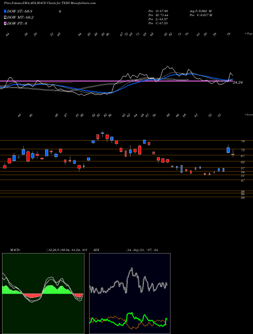 Munafa  (TXXH) stock tips, volume analysis, indicator analysis [intraday, positional] for today and tomorrow