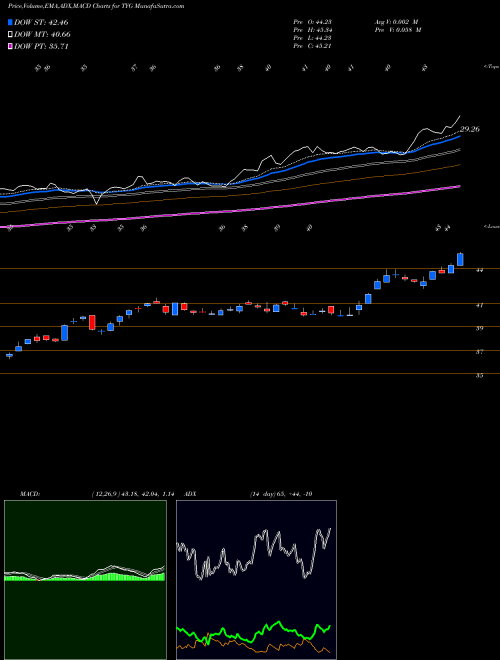 Munafa Tortoise Energy Infrastructure Corporation (TYG) stock tips, volume analysis, indicator analysis [intraday, positional] for today and tomorrow