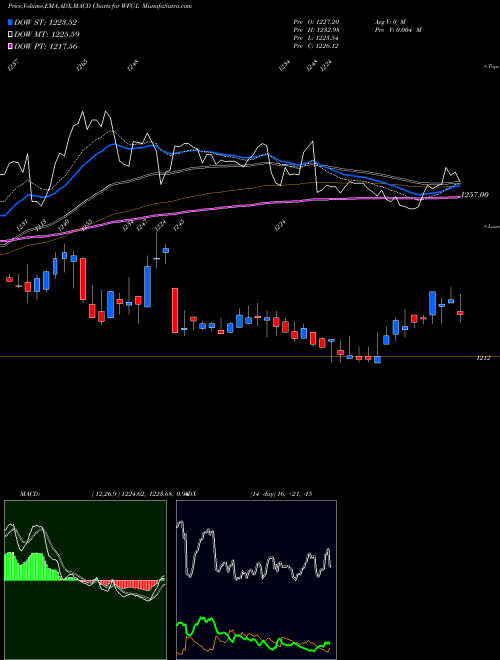 Munafa  (WFC-L) stock tips, volume analysis, indicator analysis [intraday, positional] for today and tomorrow