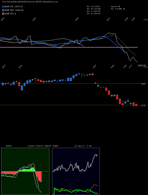 Munafa  (WFCPL) stock tips, volume analysis, indicator analysis [intraday, positional] for today and tomorrow