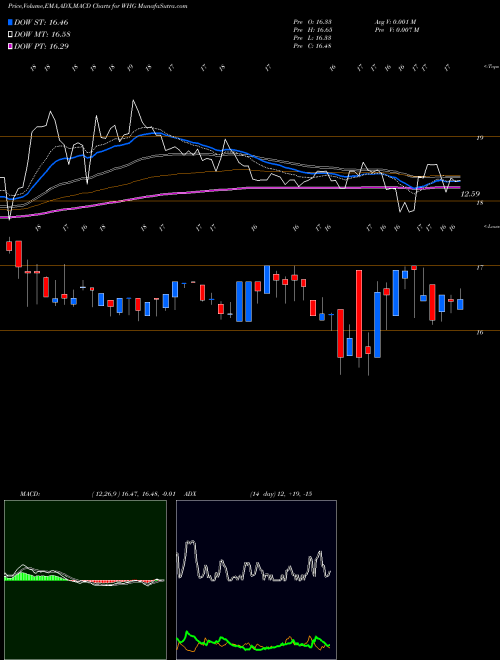 Munafa Westwood Holdings Group Inc (WHG) stock tips, volume analysis, indicator analysis [intraday, positional] for today and tomorrow