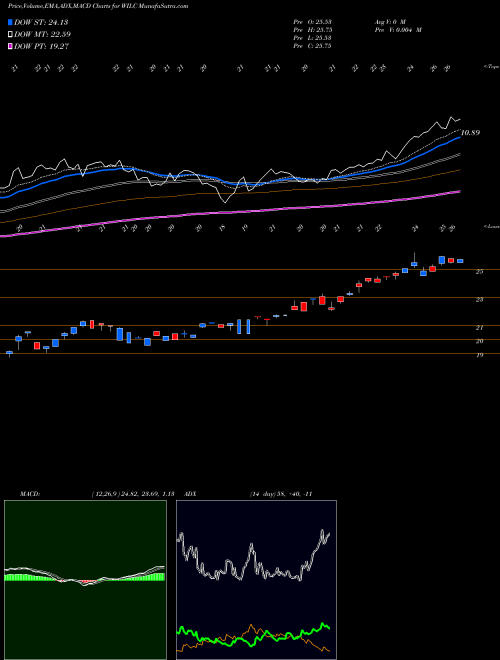 Munafa G. Willi-Food International,  Ltd. (WILC) stock tips, volume analysis, indicator analysis [intraday, positional] for today and tomorrow
