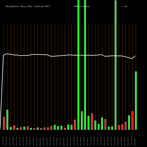 Money Flow charts share MUI Blackrock Muni Intermediate Duration Fund Inc USA Stock exchange 