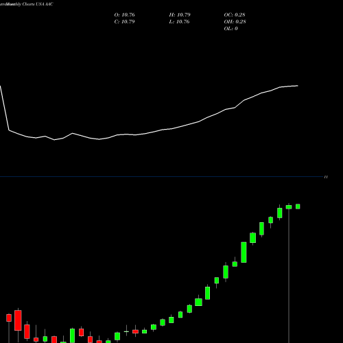 Monthly charts share AAC AAC Holdings, Inc. USA Stock exchange 