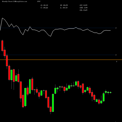 Monthly charts share BNY BlackRock New York Investment Quality Municipal Trust Inc. (Th USA Stock exchange 