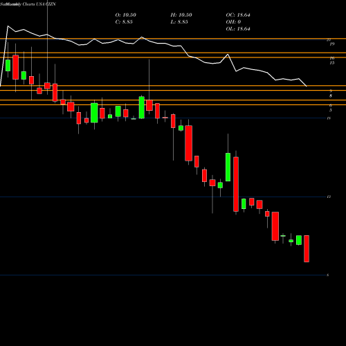 Monthly charts share CIZN Citizens Holding Company USA Stock exchange 