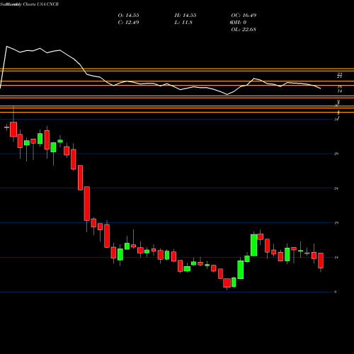 Monthly charts share CNCR Loncar Cancer Immunotherapy ETF USA Stock exchange 