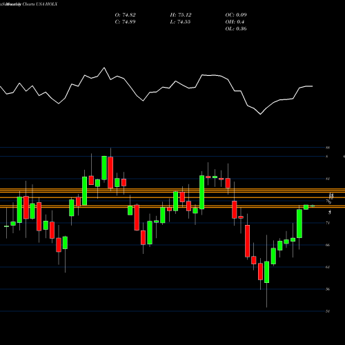 Monthly charts share HOLX Hologic, Inc. USA Stock exchange 