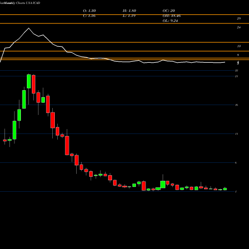 Monthly charts share ICAD Icad Inc. USA Stock exchange 