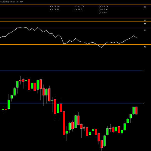 Monthly charts share JRI Nuveen Real Asset Income And Growth Fund USA Stock exchange 