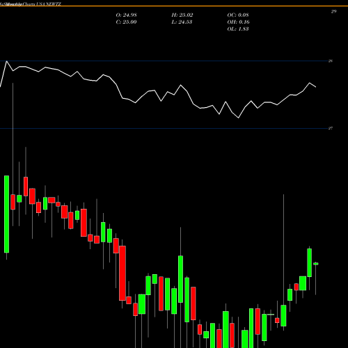 Monthly charts share NEWTZ Newtek Business Services Corp. USA Stock exchange 