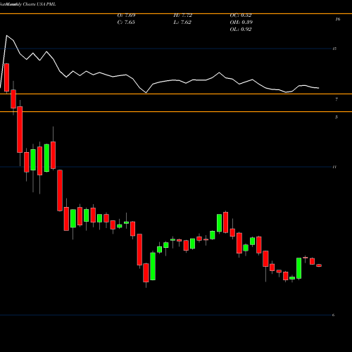 Monthly charts share PML Pimco Municipal Income Fund II USA Stock exchange 