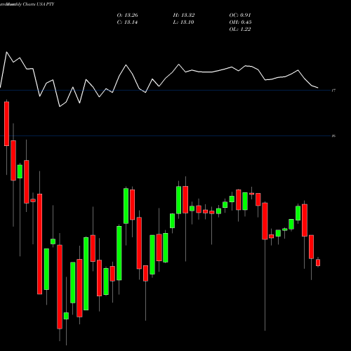 Monthly charts share PTY Pimco Corporate & Income Opportunity Fund USA Stock exchange 