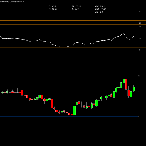 Monthly charts share RBKB Rhinebeck Bancorp, Inc. USA Stock exchange 