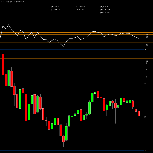 Monthly charts share RNP Cohen & Steers REIT And Preferred And Income Fund, USA Stock exchange 