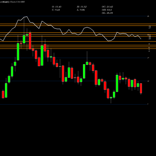 Monthly charts share SBH Sally Beauty Holdings, Inc. USA Stock exchange 