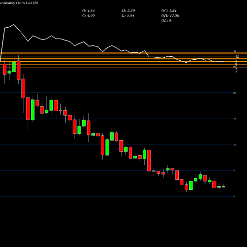 Monthly charts share TBI TrueBlue, Inc. USA Stock exchange 