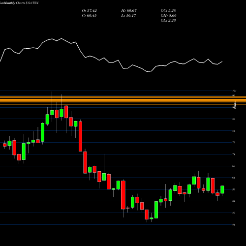 Monthly charts share TSN Tyson Foods, Inc. USA Stock exchange 