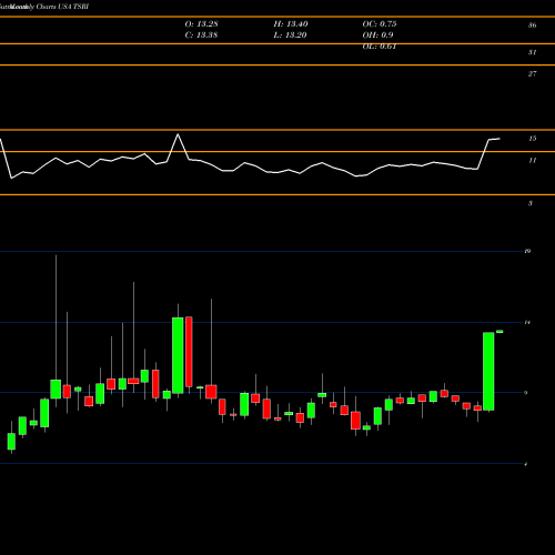 Monthly charts share TSRI TSR, Inc. USA Stock exchange 