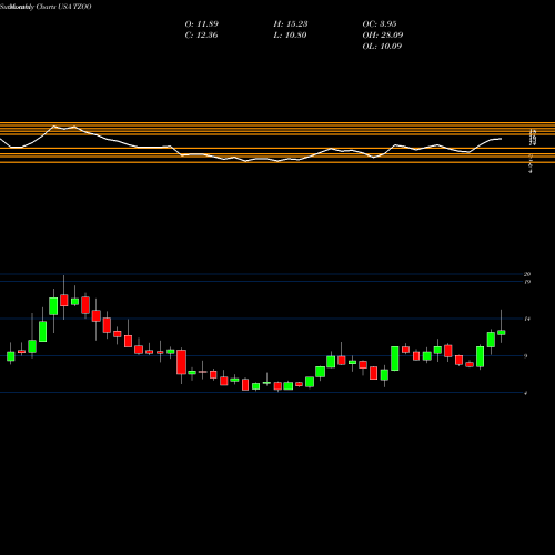 Monthly charts share TZOO Travelzoo USA Stock exchange 