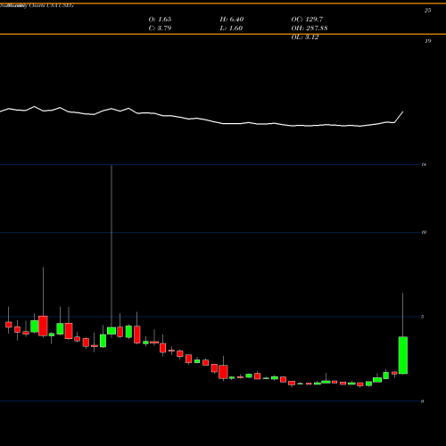 Monthly charts share USEG U.S. Energy Corp. USA Stock exchange 