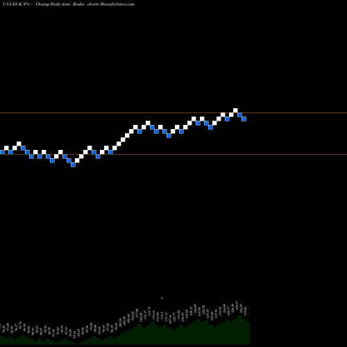 Free Renko charts Duke Energy Corporation DUK share USA Stock Exchange 