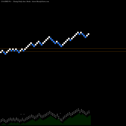 Free Renko charts Global X E-commerce ETF EBIZ share USA Stock Exchange 
