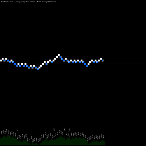 Free Renko charts TransUnion TRU share USA Stock Exchange 