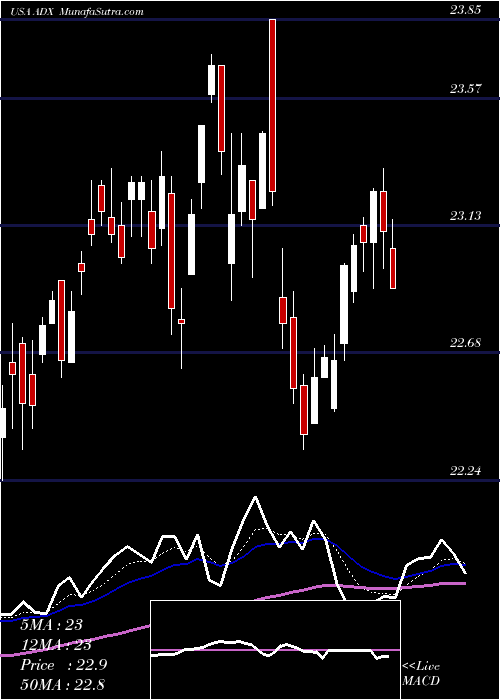  Daily chart AdamsDiversified