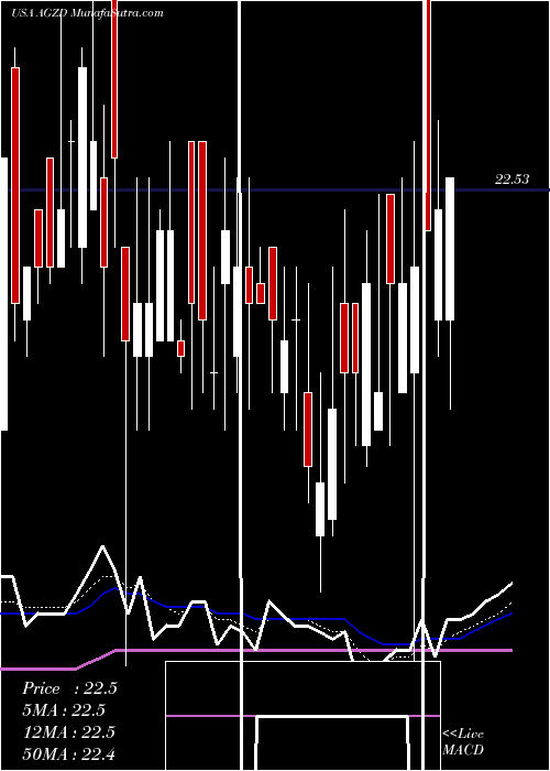  Daily chart WisdomtreeInterest