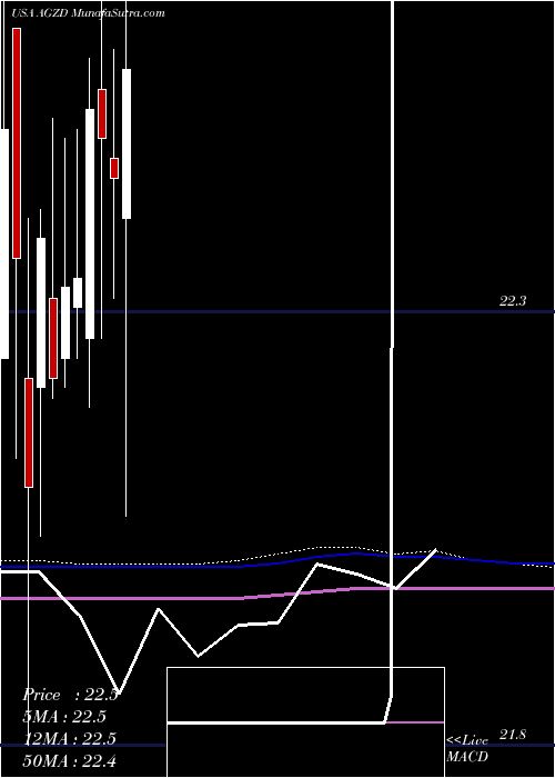  monthly chart WisdomtreeInterest