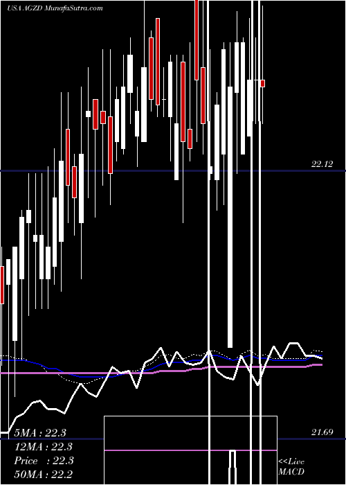  weekly chart WisdomtreeInterest