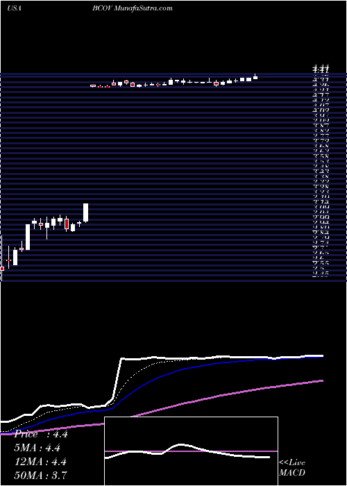  Daily chart BrightcoveInc