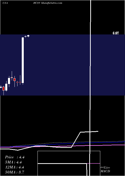  monthly chart BrightcoveInc