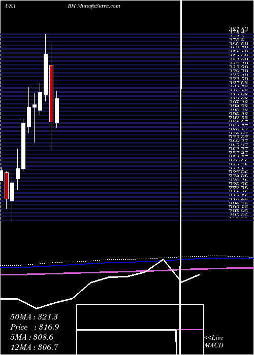  monthly chart BiglariHoldings