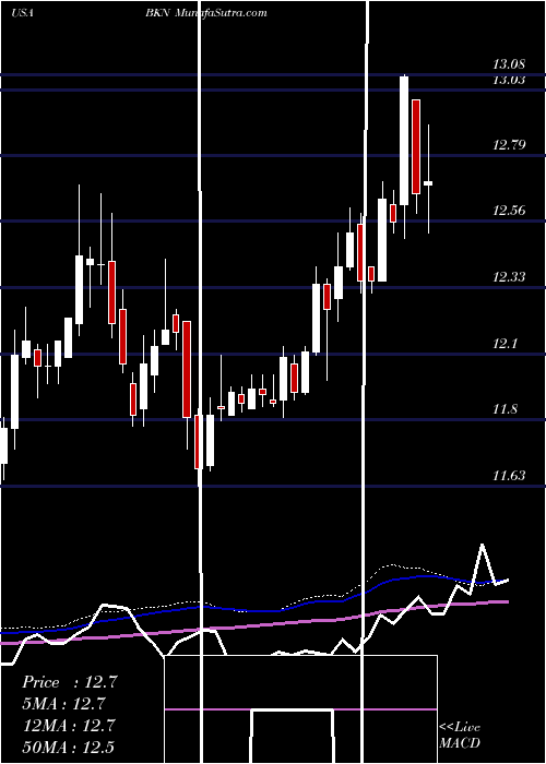  weekly chart BlackrockInvestment