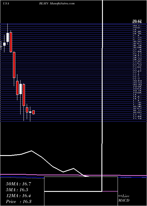  monthly chart BloominBrands