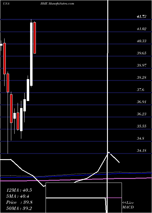  monthly chart BlackrockHealth