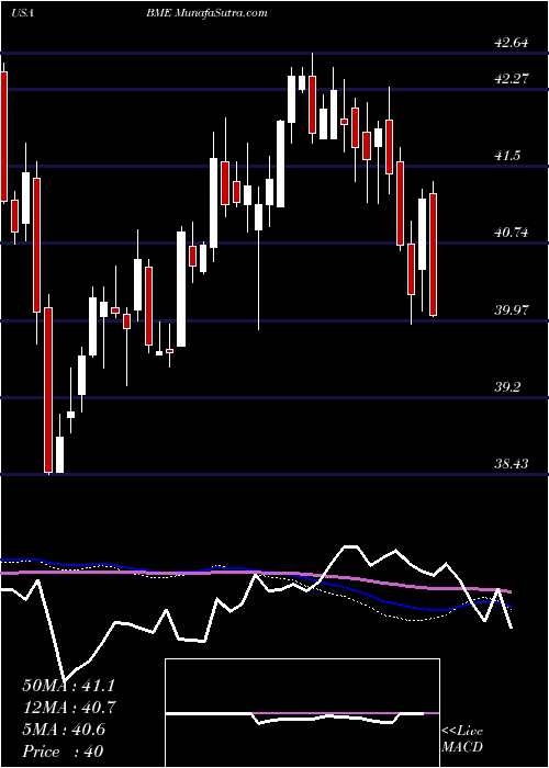  weekly chart BlackrockHealth