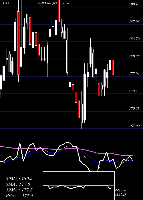  Daily chart BadgerMeter