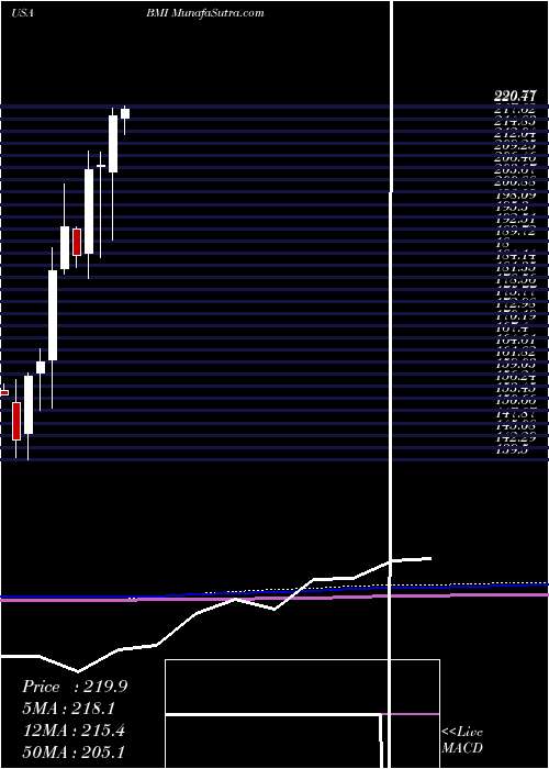  monthly chart BadgerMeter